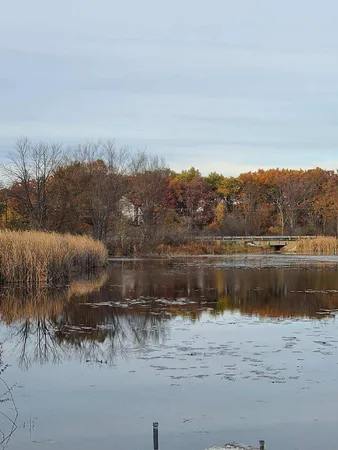 $99,000 | 0 Us 12 Street, Buchanan, MI 49107