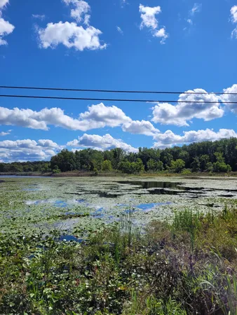 $99,000 | 0 Us 12 Street, Buchanan, MI 49107