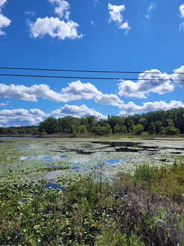 $99,000 | 0 Us 12 Street, Buchanan, MI 49107