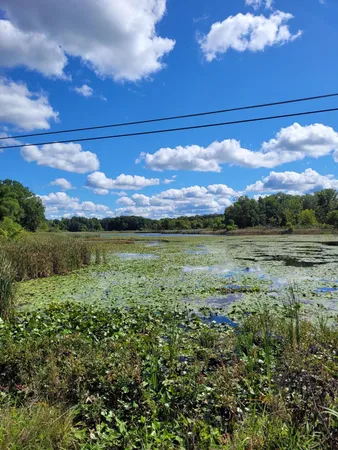 $99,000 | 0 Us 12 Street, Buchanan, MI 49107