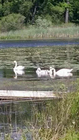 $99,000 | 0 Us 12 Street, Buchanan, MI 49107