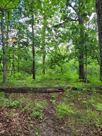 $99,000 | 0 Us 12 Street, Buchanan, MI 49107