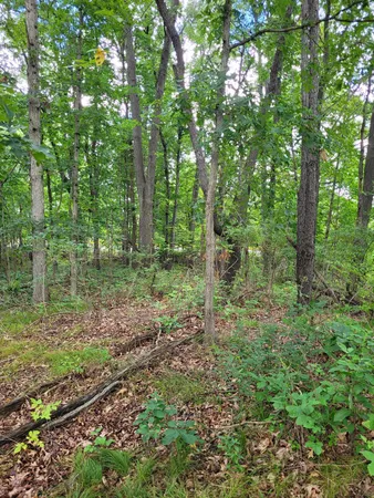 $99,000 | 0 Us 12 Street, Buchanan, MI 49107