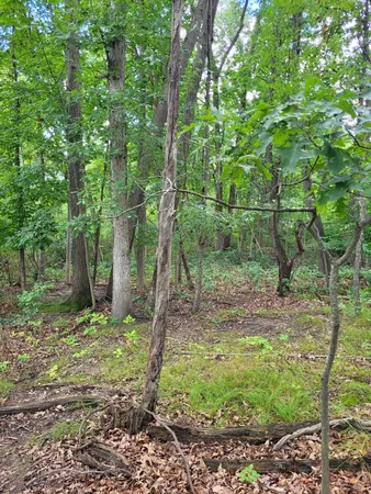 $99,000 | 0 Us 12 Street, Buchanan, MI 49107