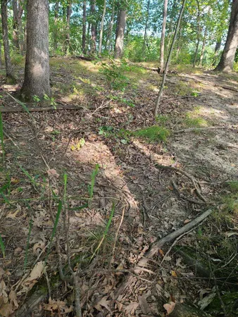 $99,000 | 0 Us 12 Street, Buchanan, MI 49107