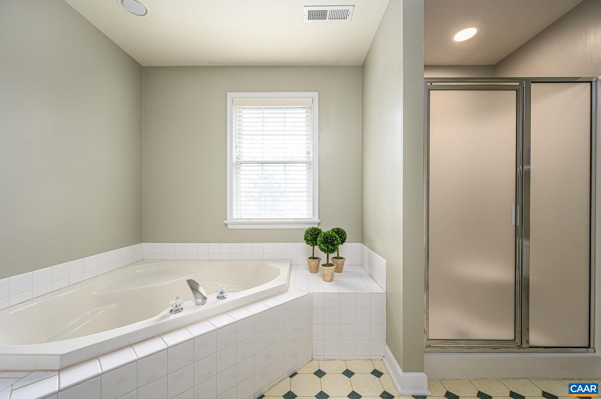 2902 Chimney Spring Charlottesville, VA 22911 - Photo 15 of 32 Gallery Image 15
