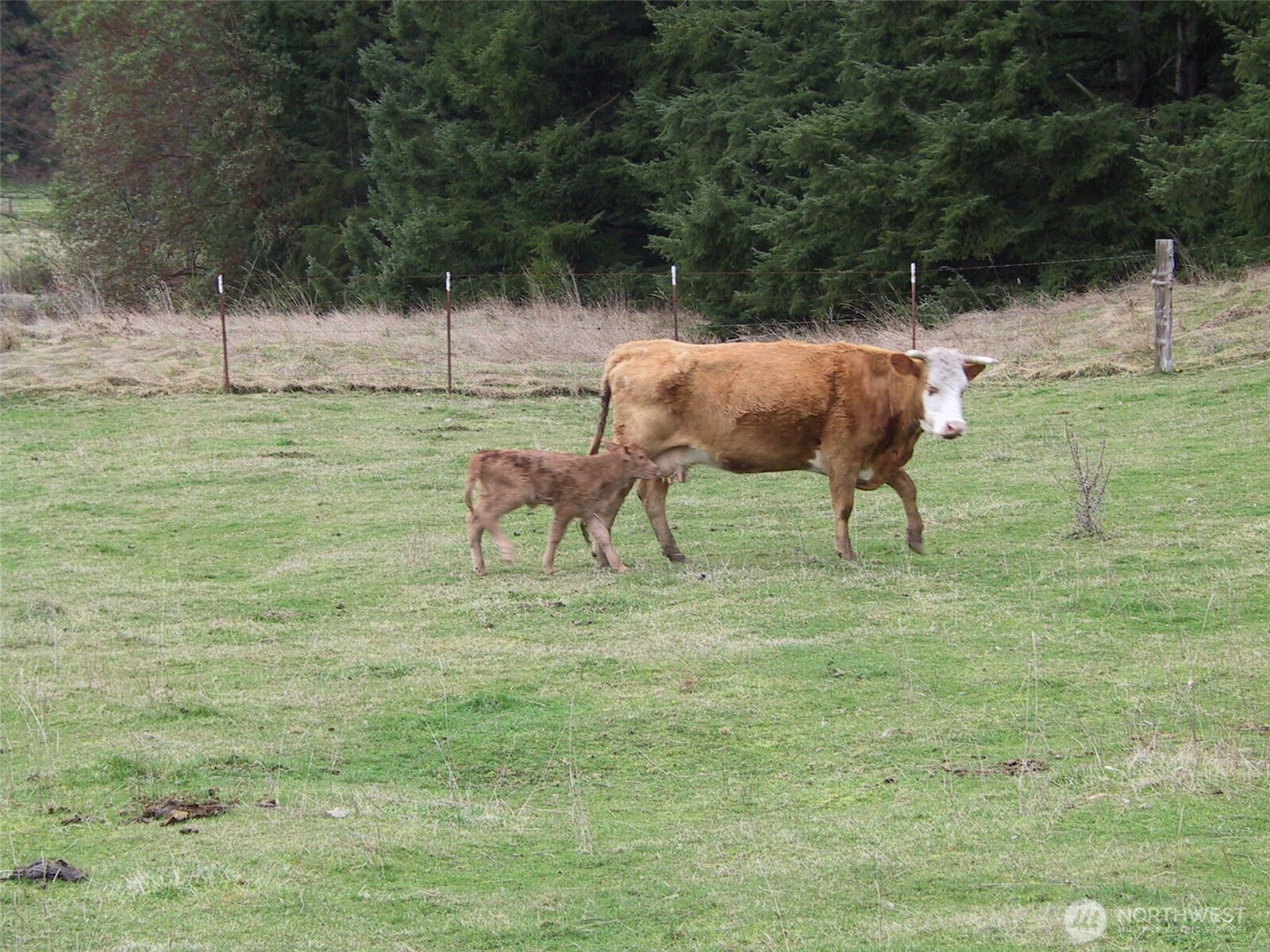 6255 Turkey Hill Road Clinton, WA 98236 - Photo 36 of 36