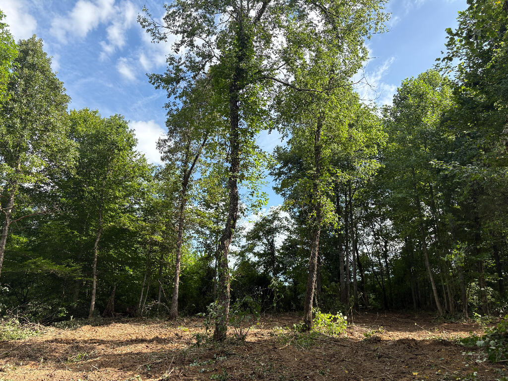 Tbd Forge Mill Road Clay City, KY 40312 - Photo 29 of 43 28
