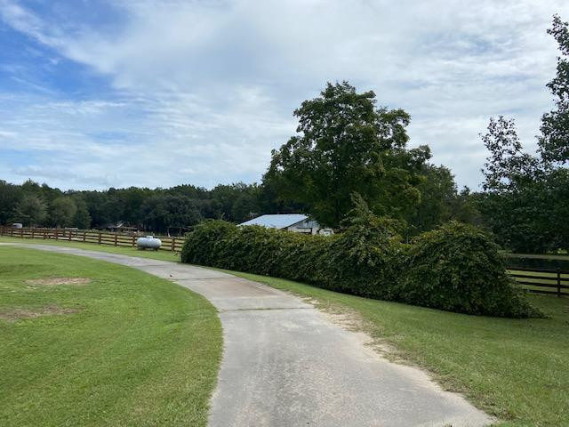 437 State Rd S-38-1249 Norway, SC 29113 - Photo 7 of 31 Driveway/Scuppernong Grape Vine
