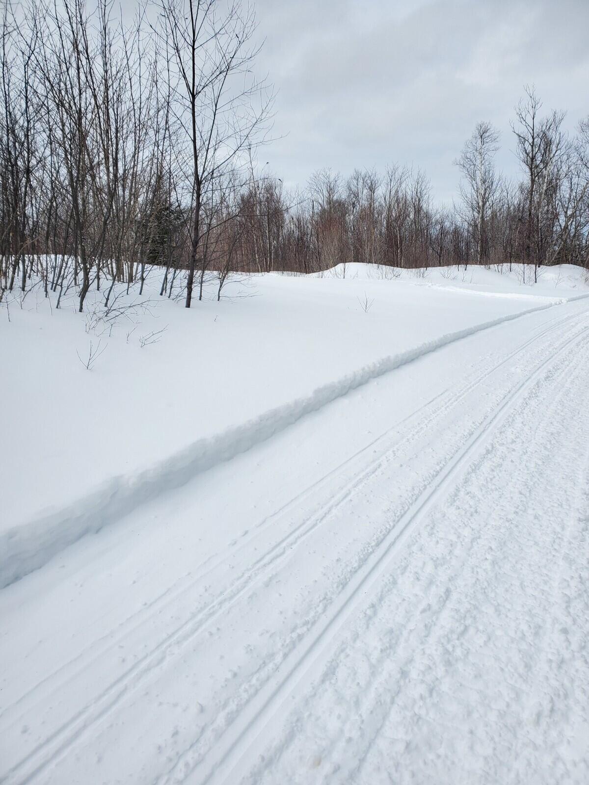 Lot 14 South Nelson Road Oakfield, ME 04763 - Photo 8 of 9 20220207_125255
