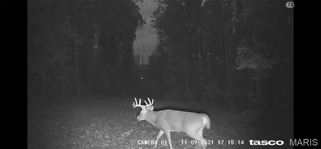 161 Cobblestone Road Steelville, MO 65565 - Photo 39 of 45