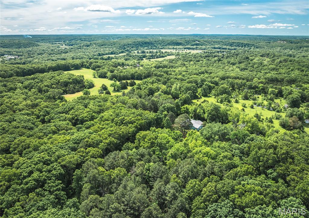 161 Cobblestone Road Steelville, MO 65565 - Photo 42 of 45