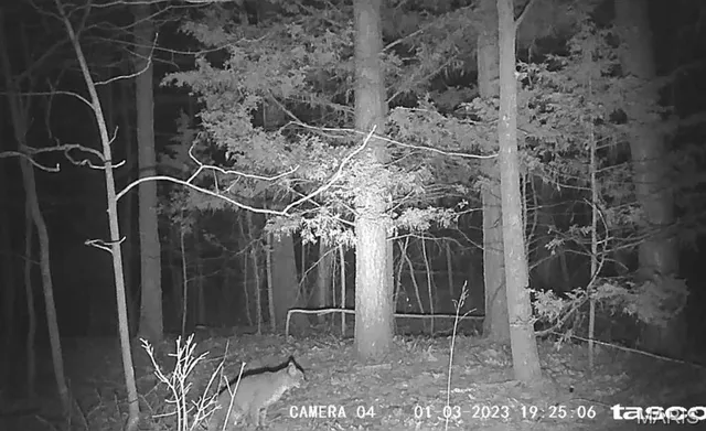 $399,900 | 161 Cobblestone Road, Steelville, MO 65565