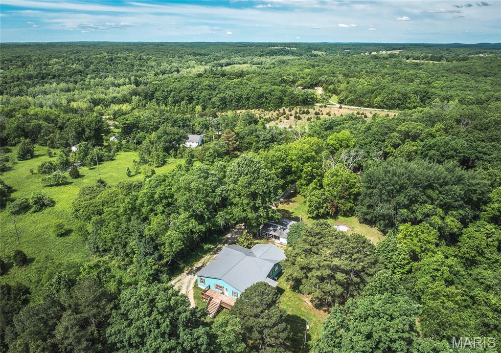 161 Cobblestone Road Steelville, MO 65565 - Photo 6 of 45