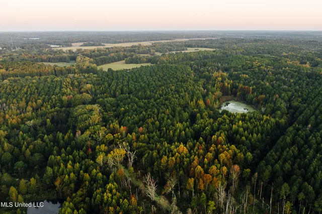 $4,995,000 | 11657 Vaughan Road, Vaughan, MS 39179