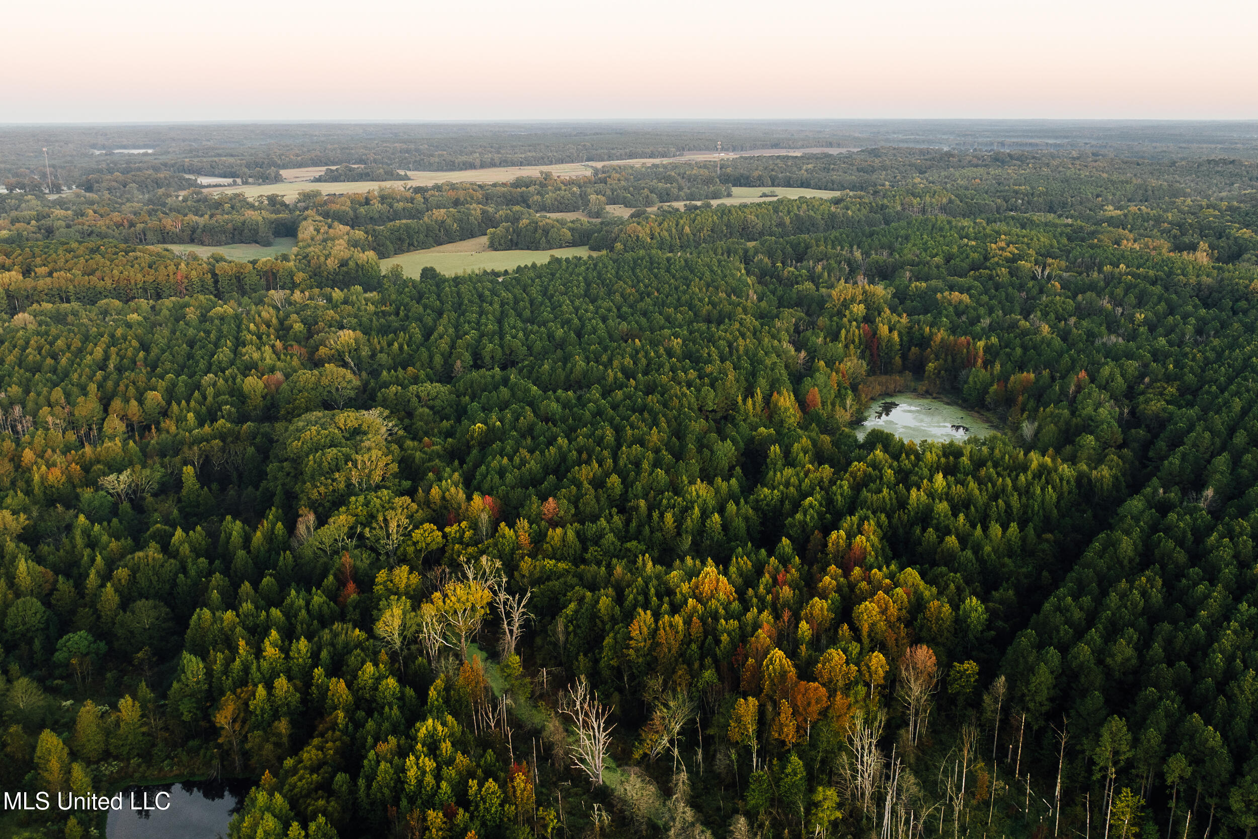 11657 Vaughan Road Vaughan, MS 39179 - Photo 18 of 110 595 Yazoo Pics-18