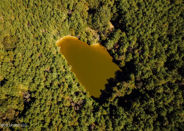 $4,995,000 | 11657 Vaughan Road, Vaughan, MS 39179