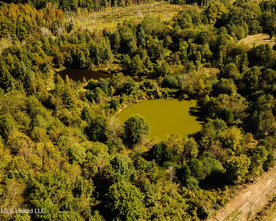 $4,995,000 | 11657 Vaughan Road, Vaughan, MS 39179