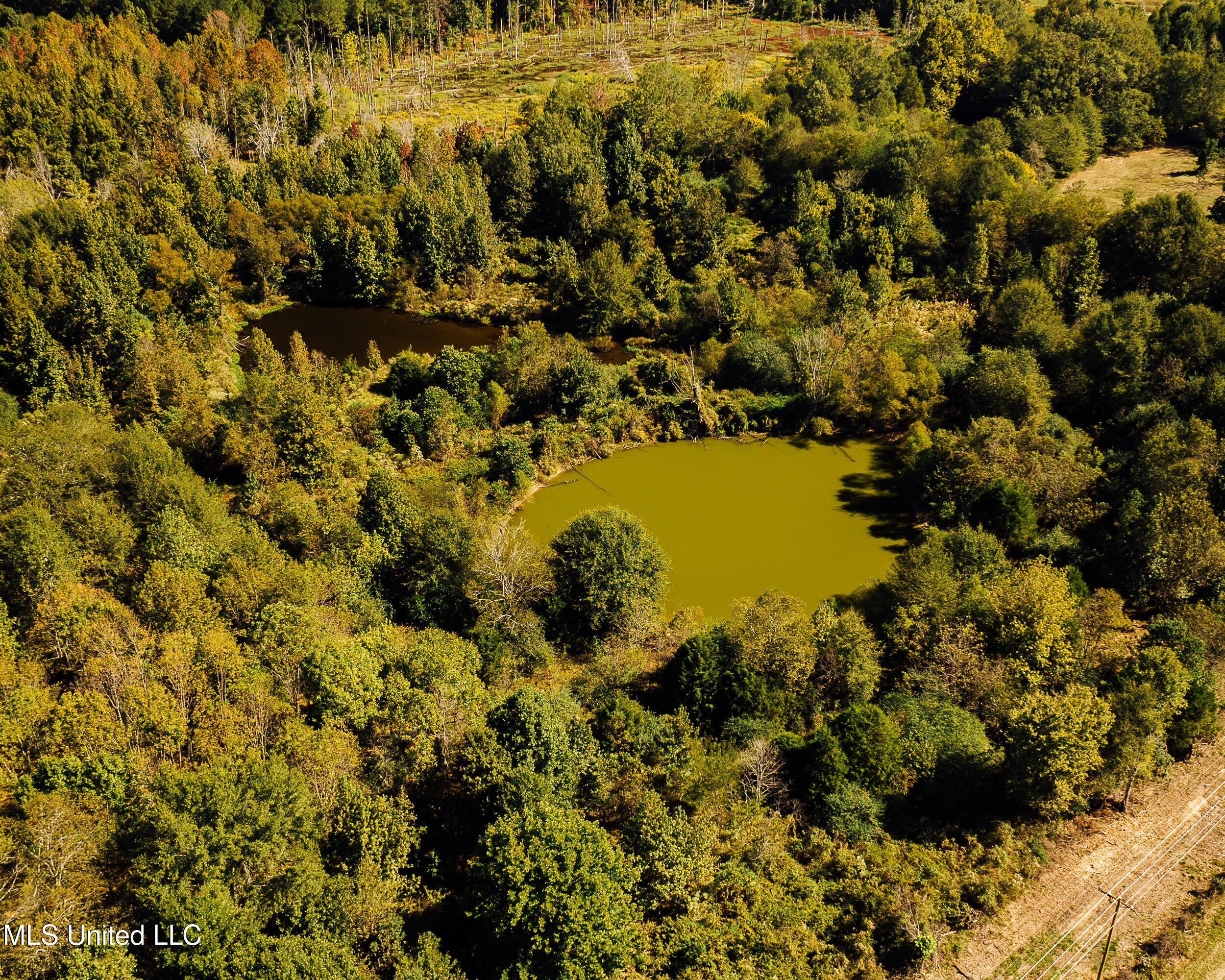 11657 Vaughan Road Vaughan, MS 39179 - Photo 35 of 110 595 Yazoo Pics-35