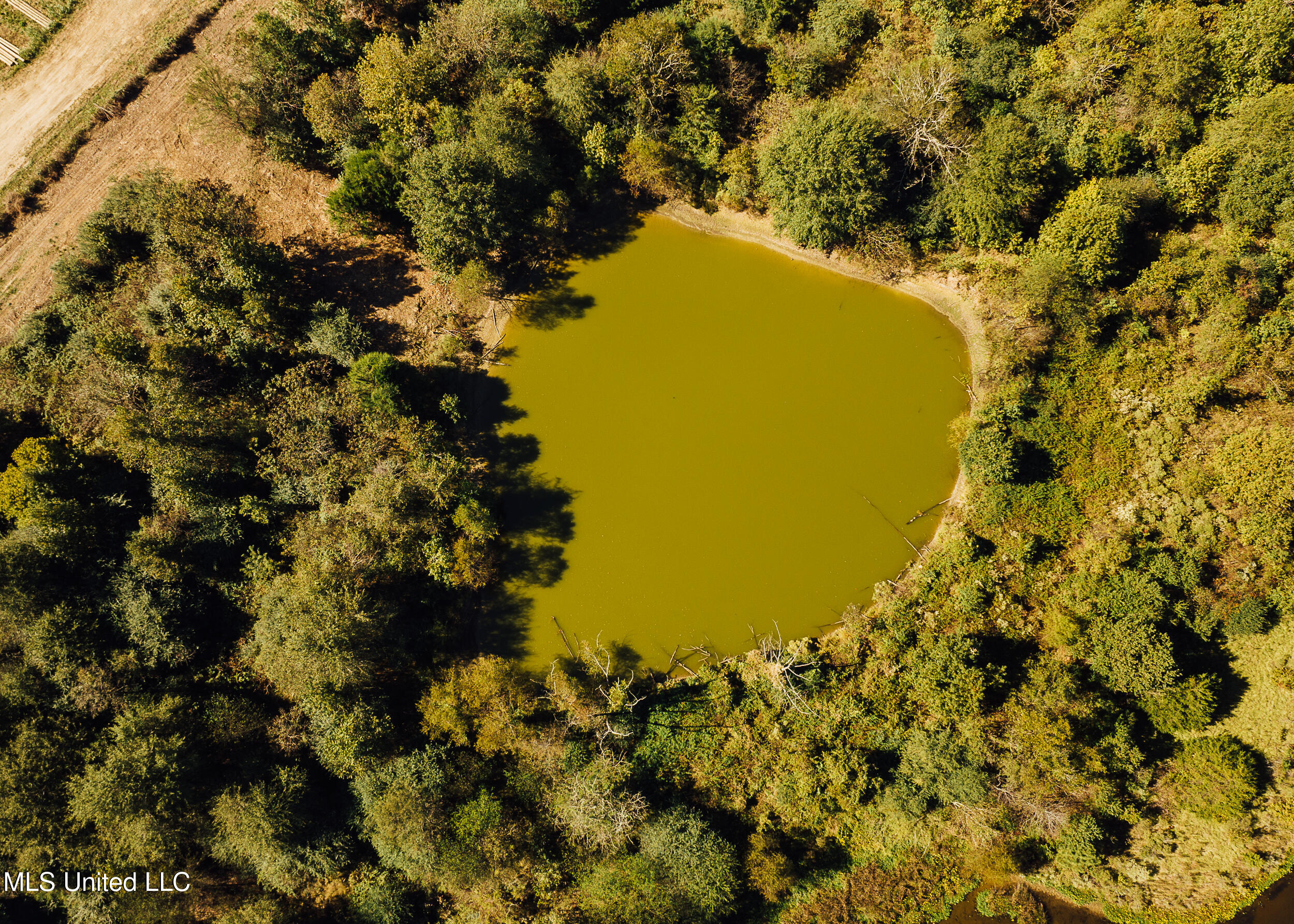 11657 Vaughan Road Vaughan, MS 39179 - Photo 38 of 110 595 Yazoo Pics-38
