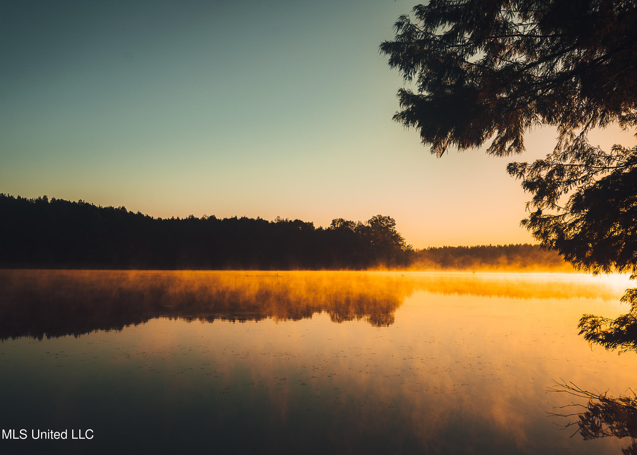 11657 Vaughan Road Vaughan, MS 39179 - Photo 41 of 110 595 Yazoo Pics-41