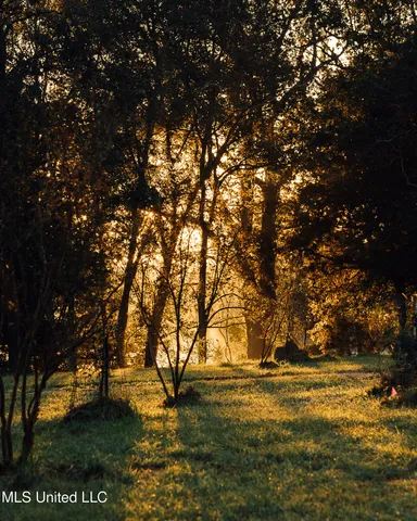 $4,995,000 | 11657 Vaughan Road, Vaughan, MS 39179