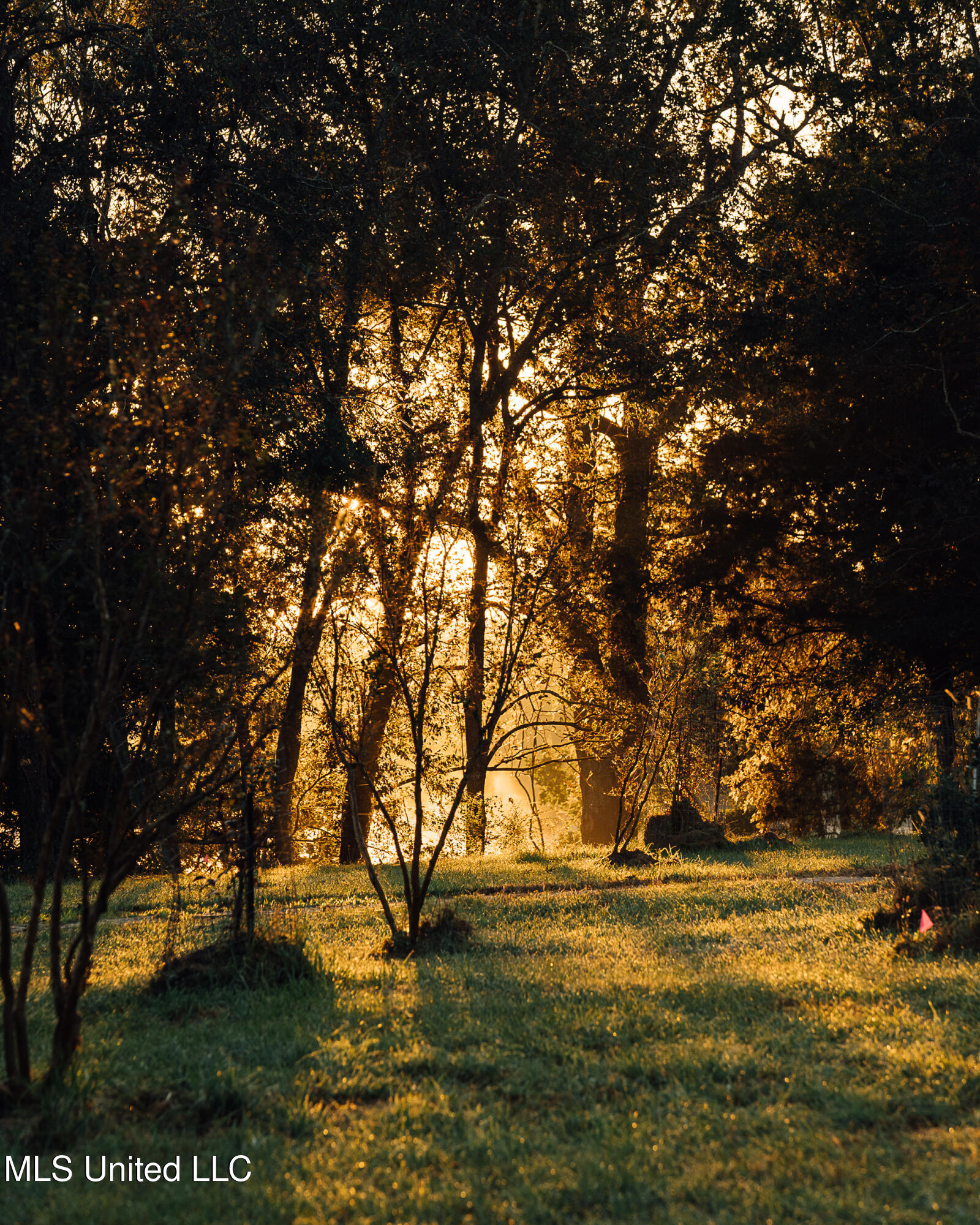 11657 Vaughan Road Vaughan, MS 39179 - Photo 42 of 110 595 Yazoo Pics-42
