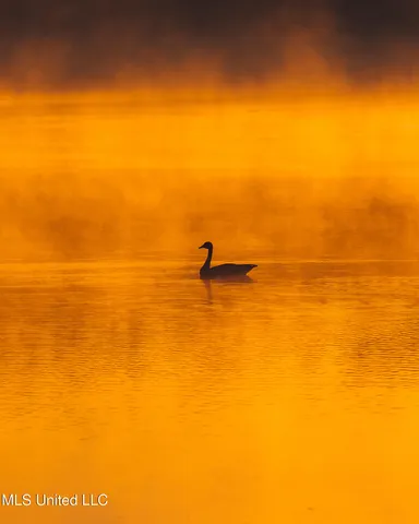 $4,995,000 | 11657 Vaughan Road, Vaughan, MS 39179