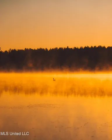 $4,995,000 | 11657 Vaughan Road, Vaughan, MS 39179