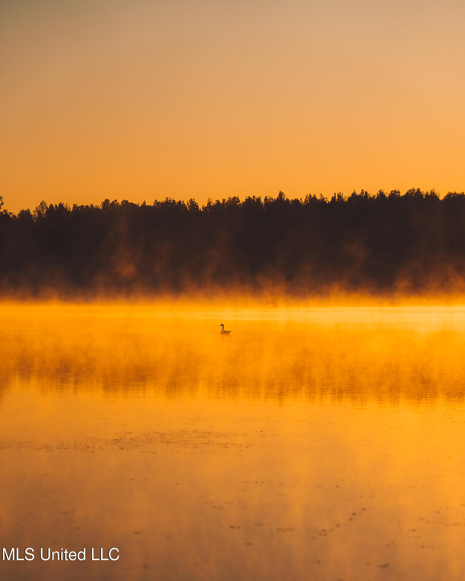 11657 Vaughan Road Vaughan, MS 39179 - Photo 45 of 110 595 Yazoo Pics-45