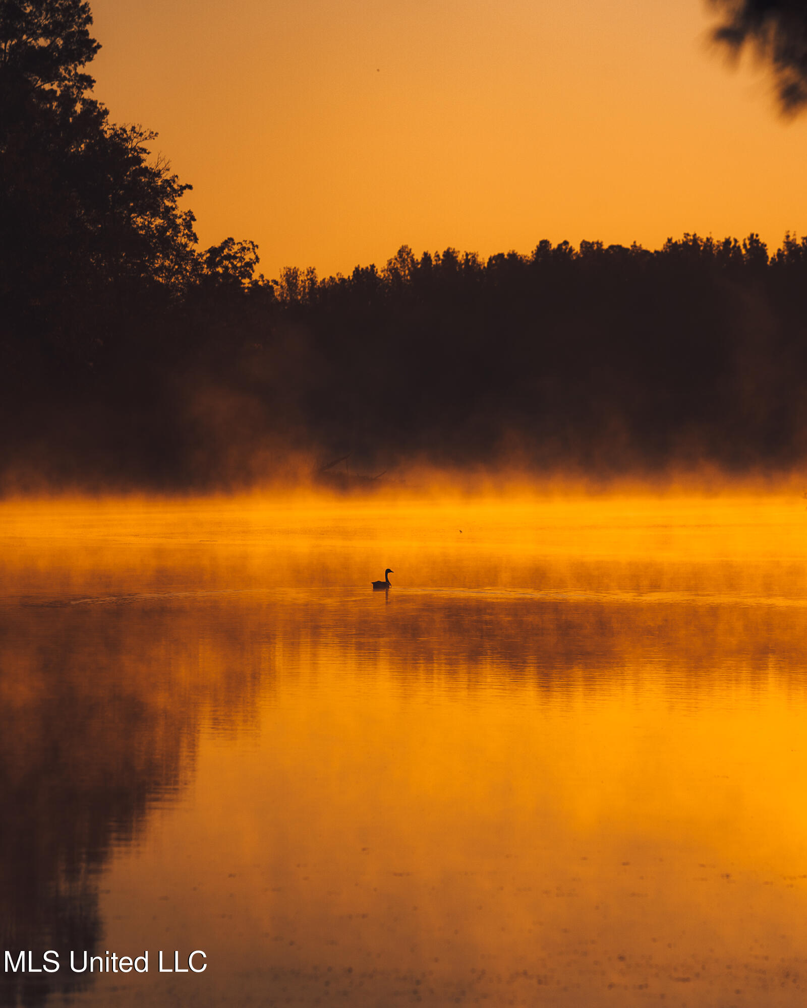 11657 Vaughan Road Vaughan, MS 39179 - Photo 46 of 110 595 Yazoo Pics-46