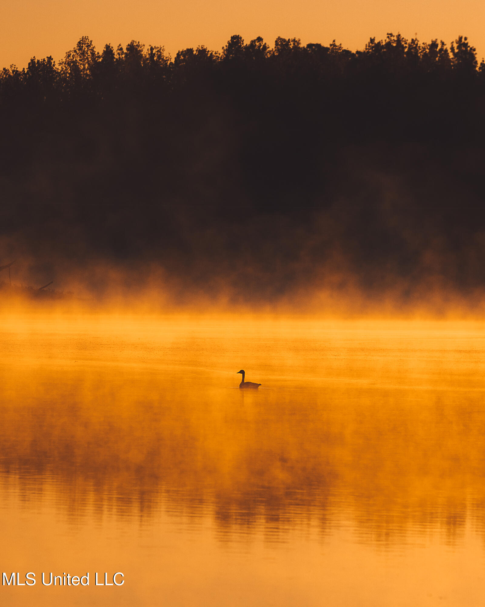 11657 Vaughan Road Vaughan, MS 39179 - Photo 47 of 110 595 Yazoo Pics-47