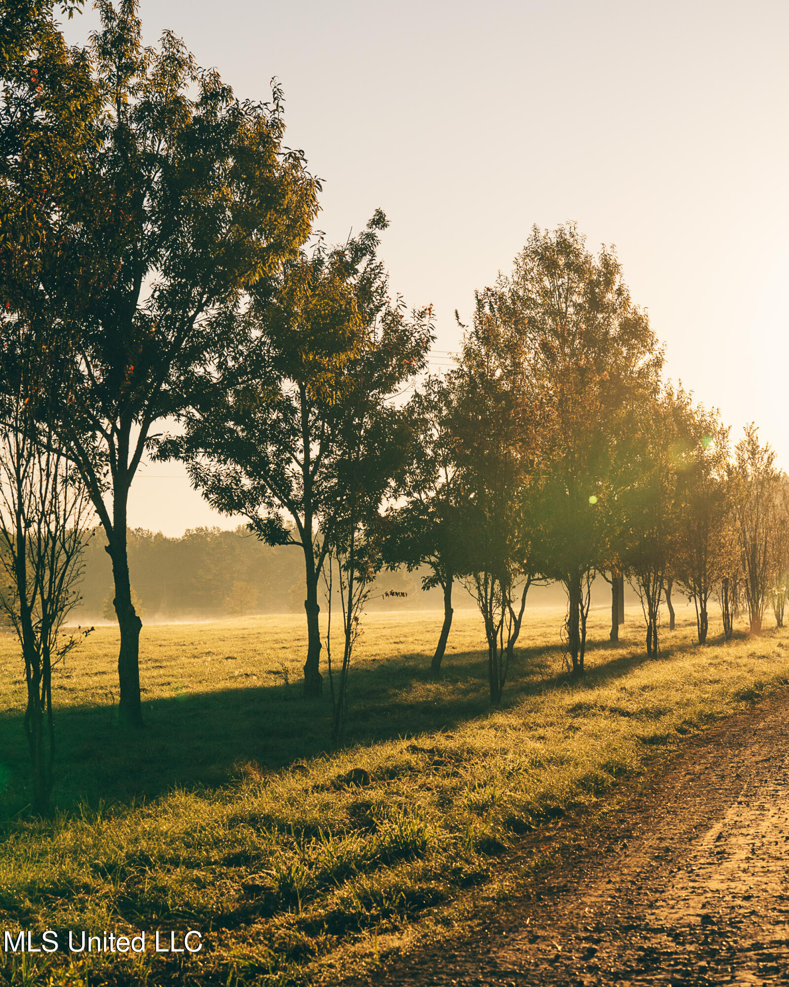 11657 Vaughan Road Vaughan, MS 39179 - Photo 48 of 110 595 Yazoo Pics-48