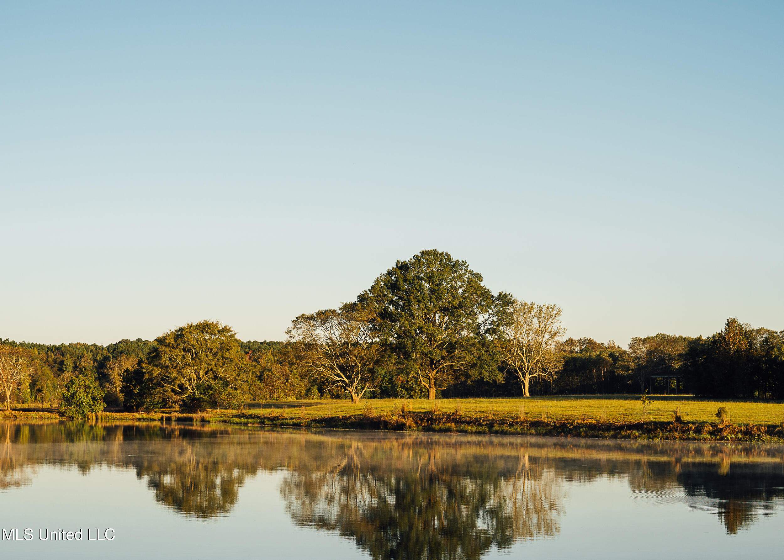 11657 Vaughan Road Vaughan, MS 39179 - Photo 52 of 110 595 Yazoo Pics-52