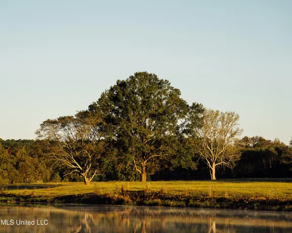 $4,995,000 | 11657 Vaughan Road, Vaughan, MS 39179