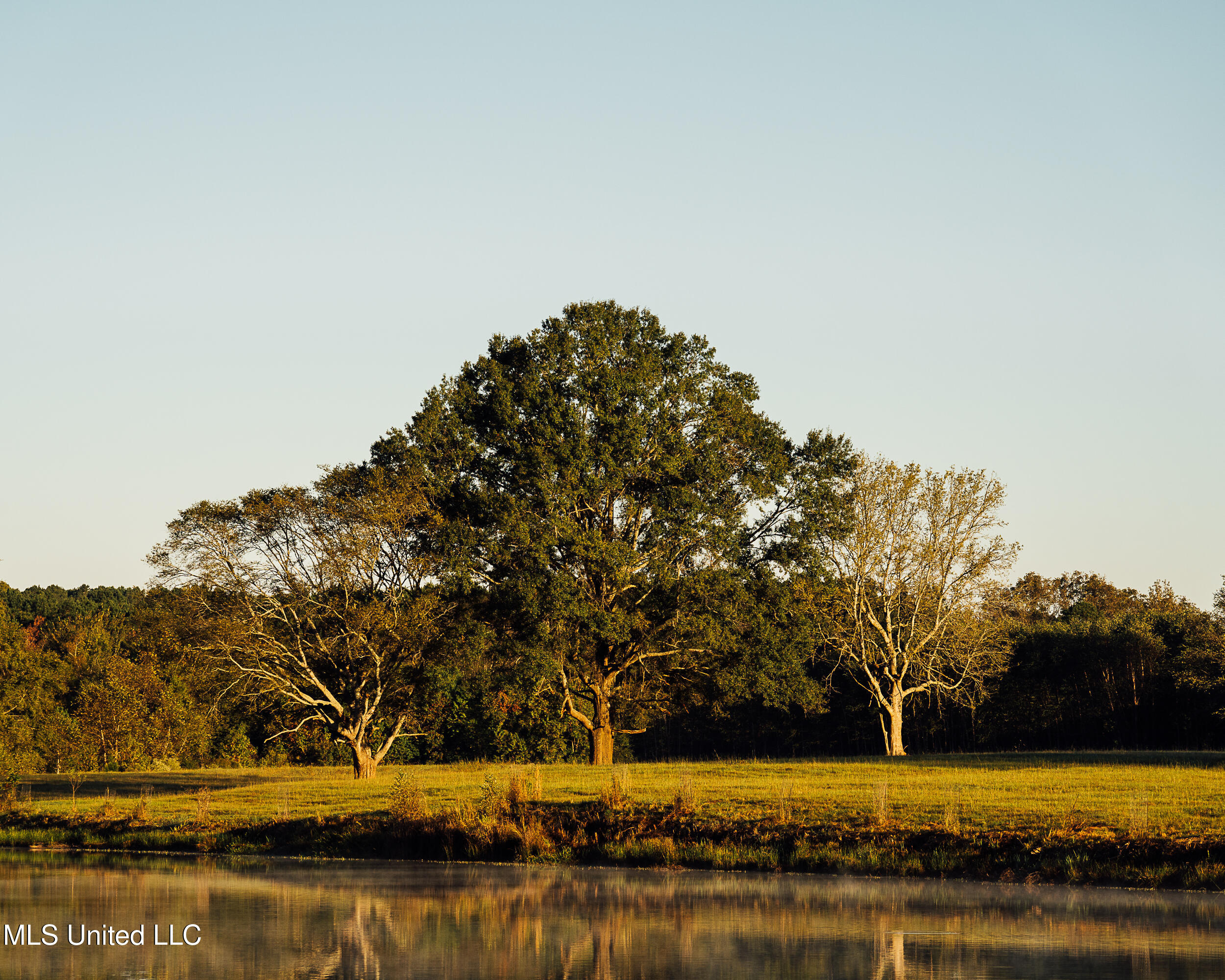 11657 Vaughan Road Vaughan, MS 39179 - Photo 53 of 110 595 Yazoo Pics-53