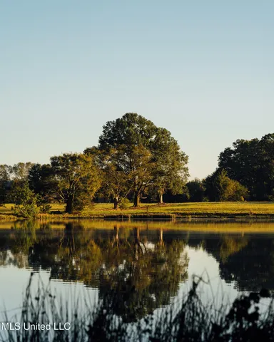 $4,995,000 | 11657 Vaughan Road, Vaughan, MS 39179