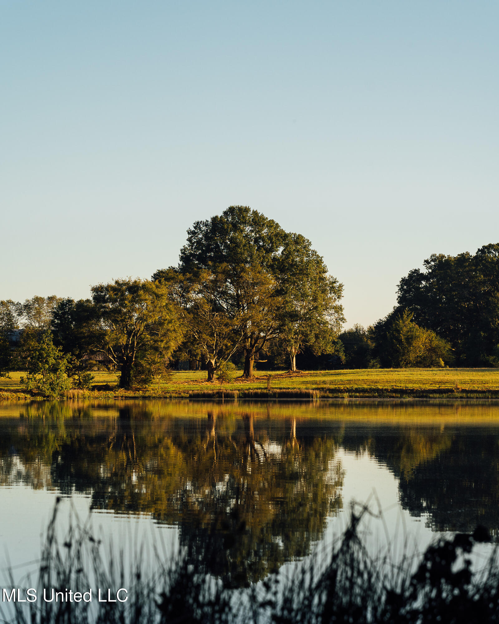 11657 Vaughan Road Vaughan, MS 39179 - Photo 56 of 110 595 Yazoo Pics-56