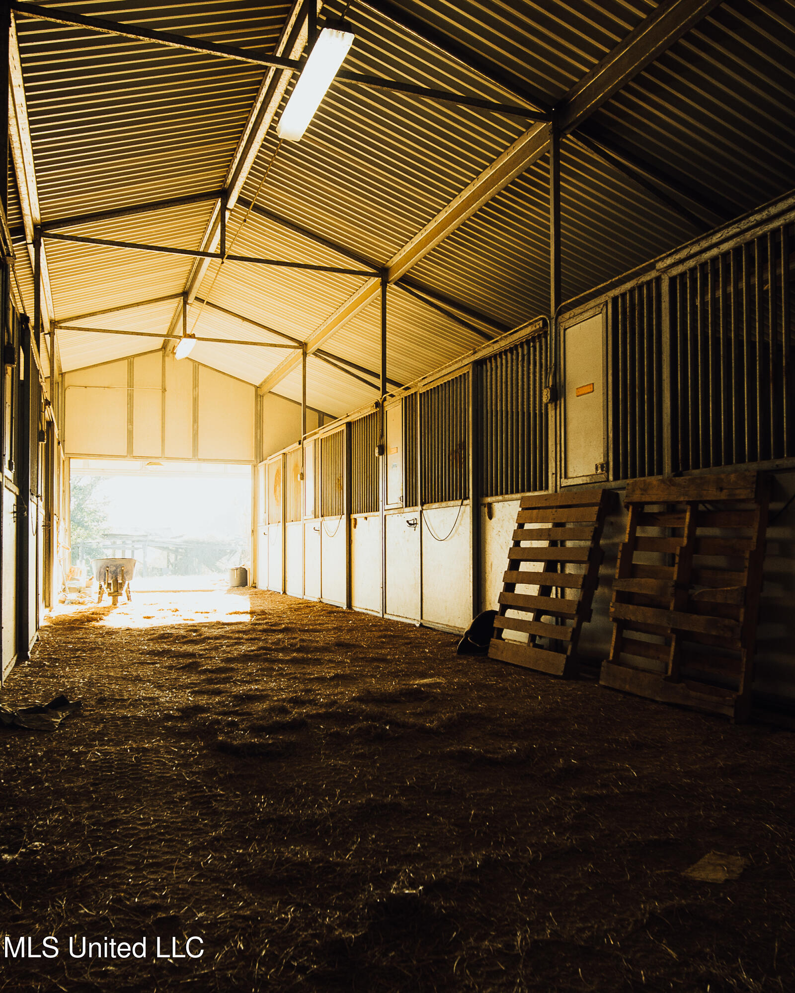 11657 Vaughan Road Vaughan, MS 39179 - Photo 58 of 110 595 Yazoo Pics-58