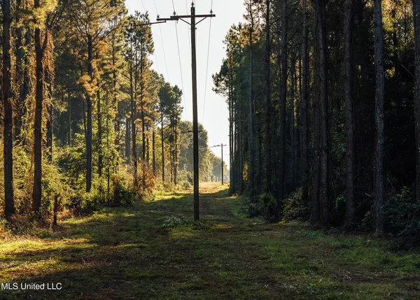 $4,995,000 | 11657 Vaughan Road, Vaughan, MS 39179