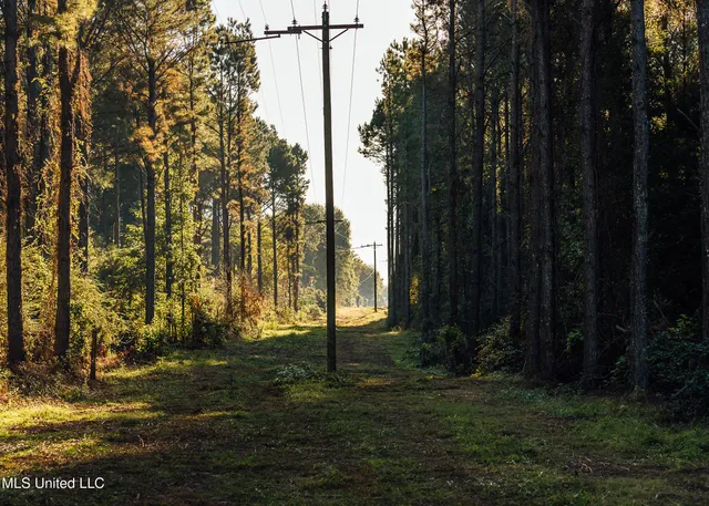 $4,995,000 | 11657 Vaughan Road, Vaughan, MS 39179