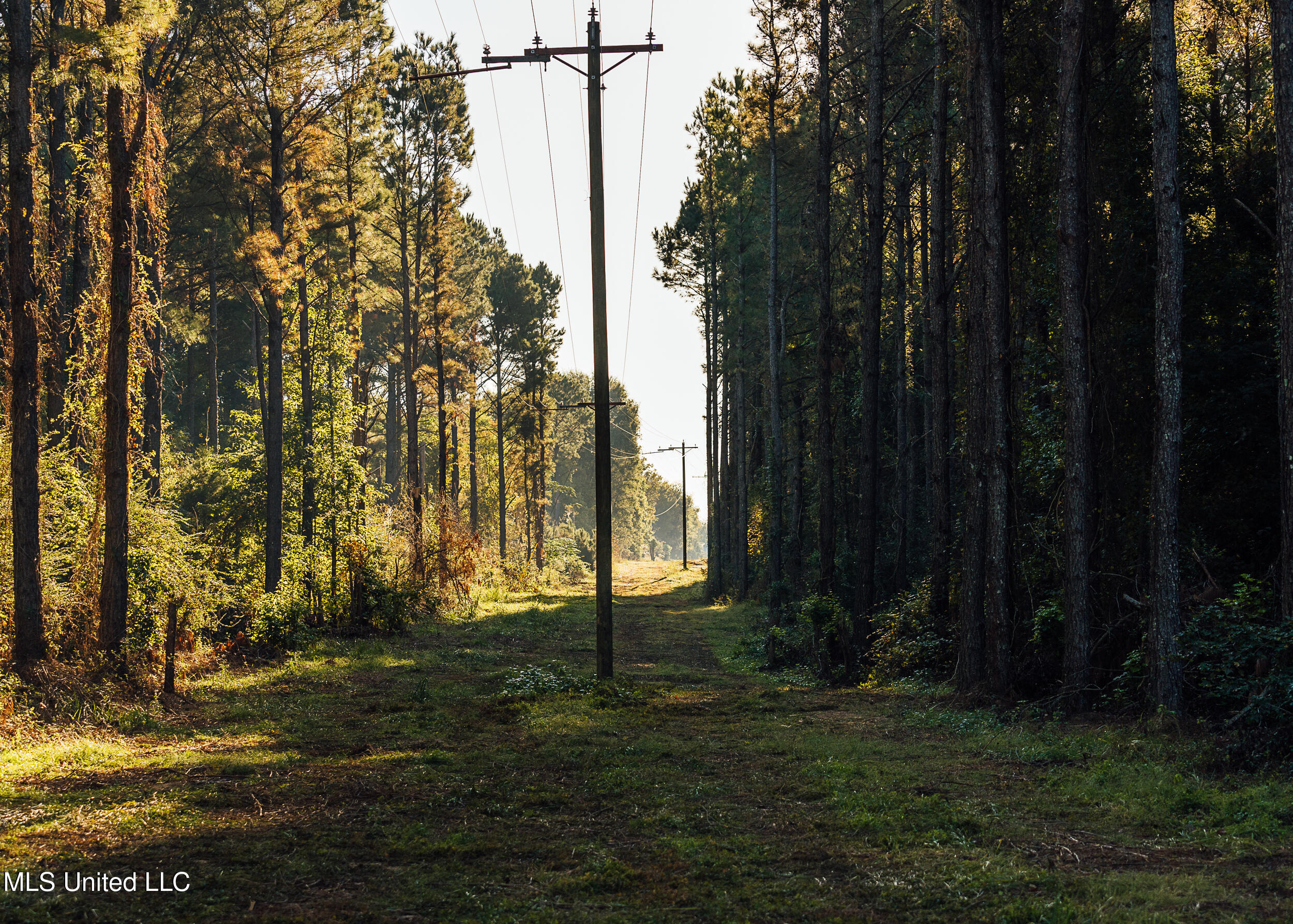 11657 Vaughan Road Vaughan, MS 39179 - Photo 59 of 110 595 Yazoo Pics-59