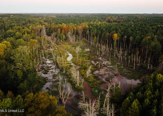 $4,995,000 | 11657 Vaughan Road, Vaughan, MS 39179