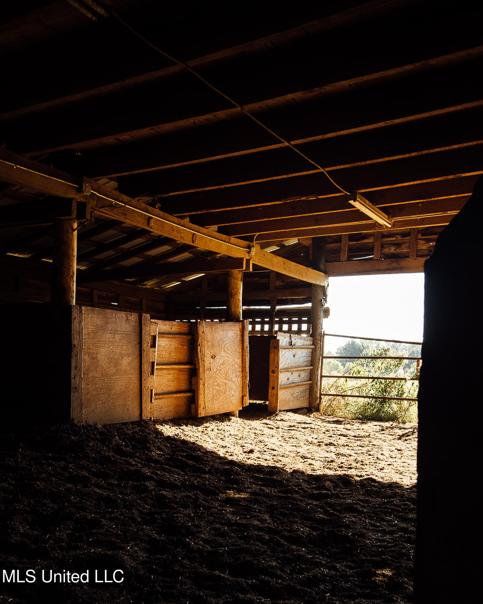 11657 Vaughan Road Vaughan, MS 39179 - Photo 76 of 110 595 Yazoo Pics-76