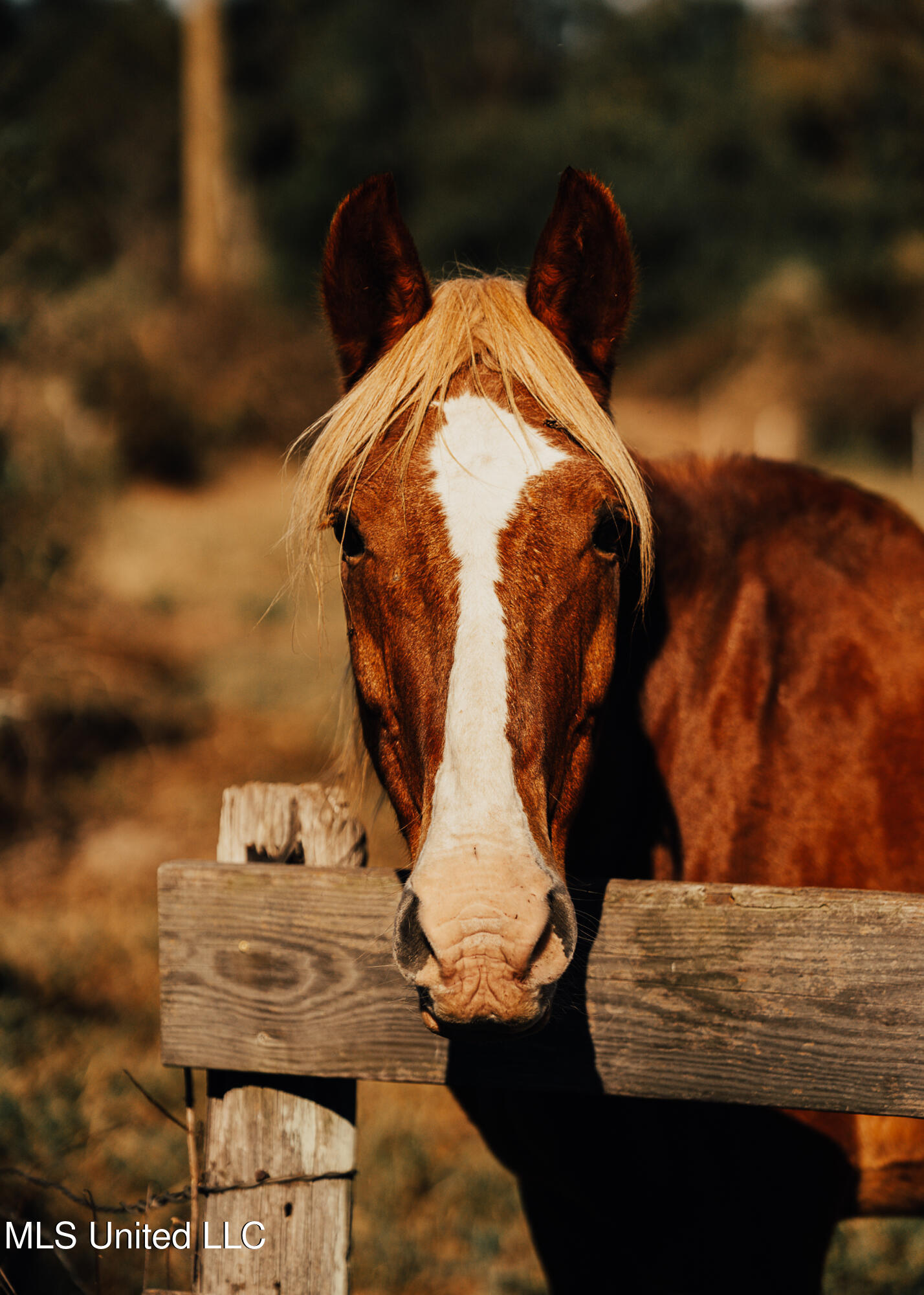 11657 Vaughan Road Vaughan, MS 39179 - Photo 78 of 110 595 Yazoo Pics-78