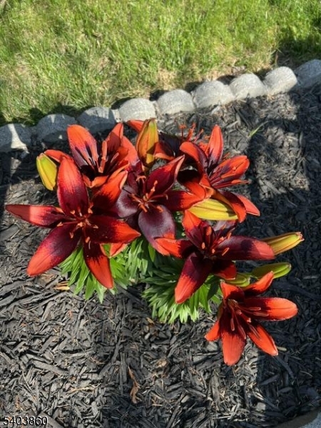 36 Wawayanda Road Vernon, NJ 07422 - Photo 21 of 34 a view of an outdoor space