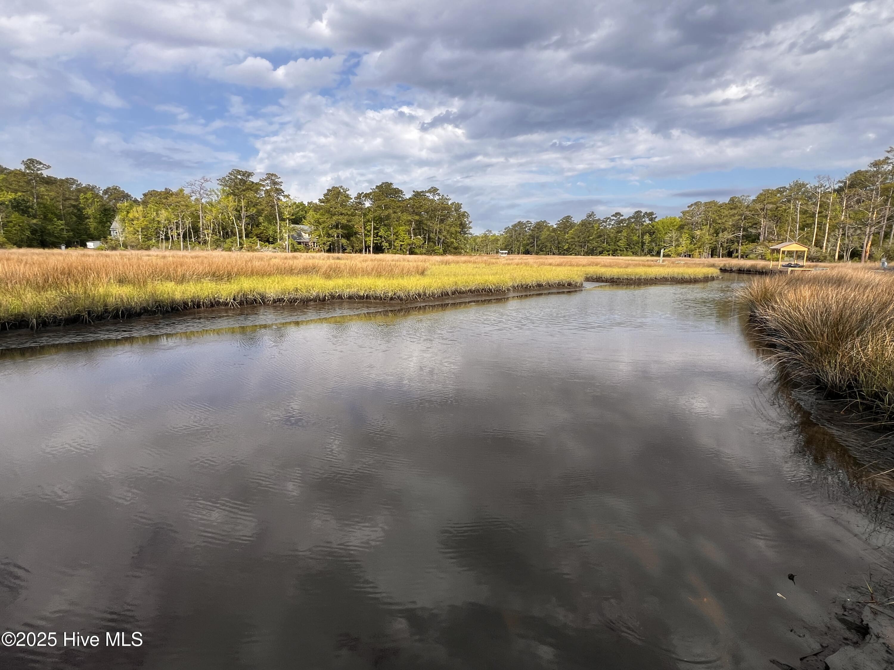 180 Quails Cove Hampstead, NC 28443 - Photo 62 of 62 IMG_6096