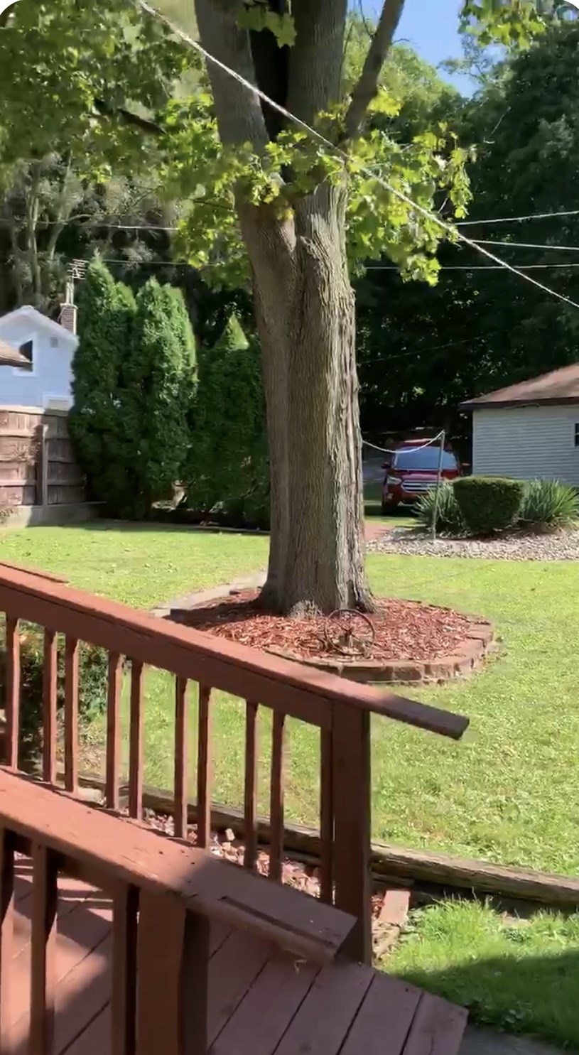 560 Spring Beach Road Rome City, IN 46784 - Photo 22 of 25
