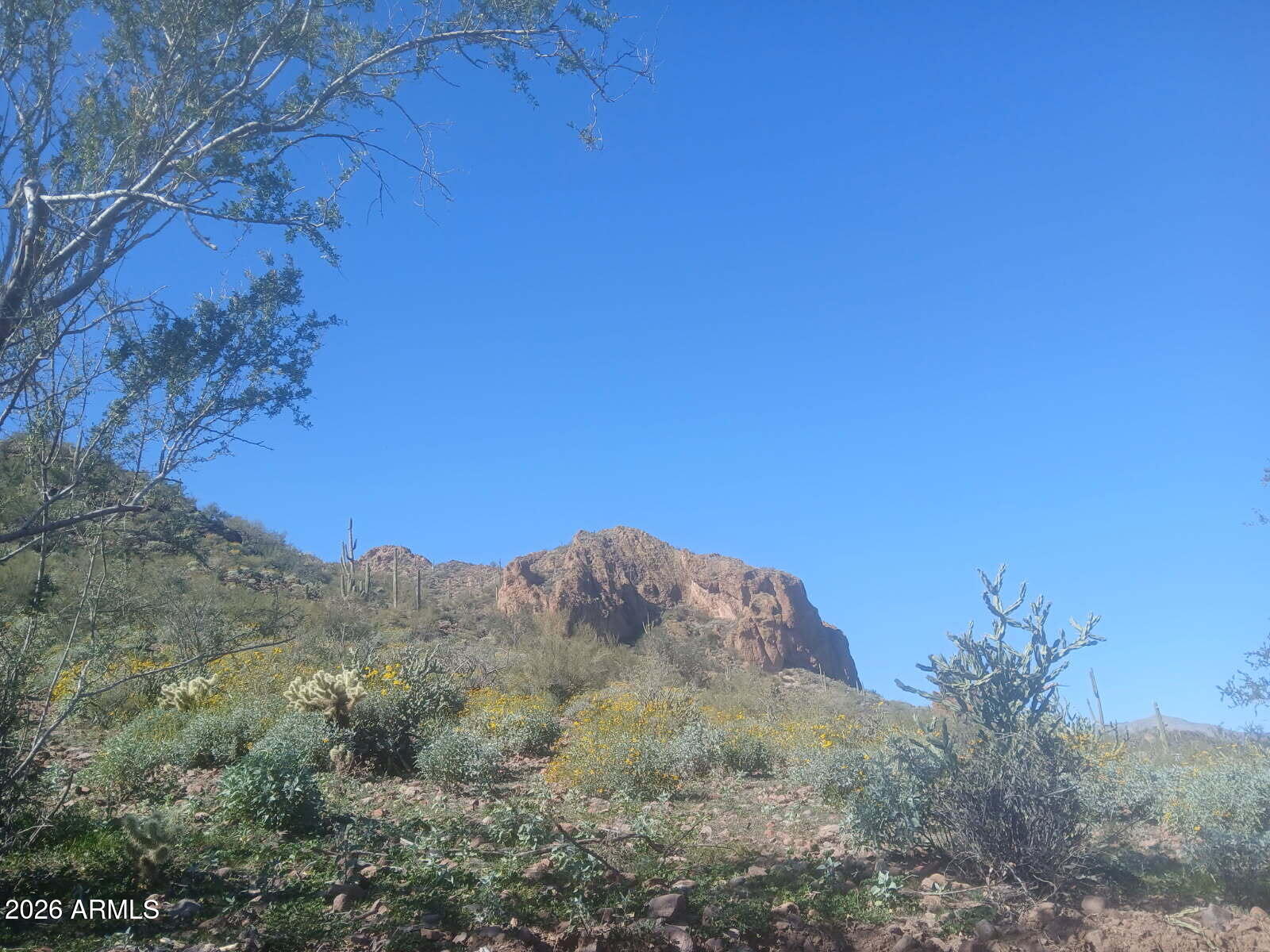 37750 Cow Creek Road, Unit D Morristown, AZ 85342 - Photo 17 of 35