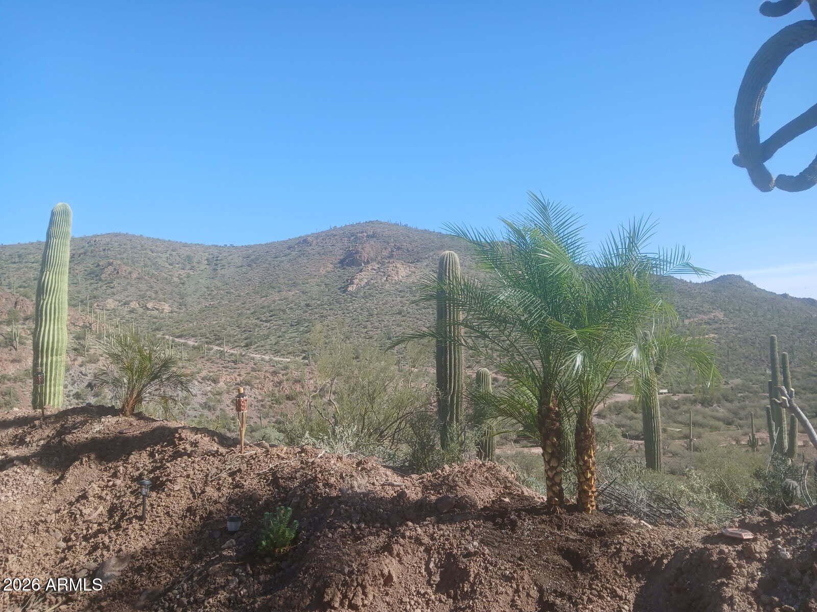 37750 Cow Creek Road, Unit D Morristown, AZ 85342 - Photo 18 of 35 a view of a dry yard with mountains in the background